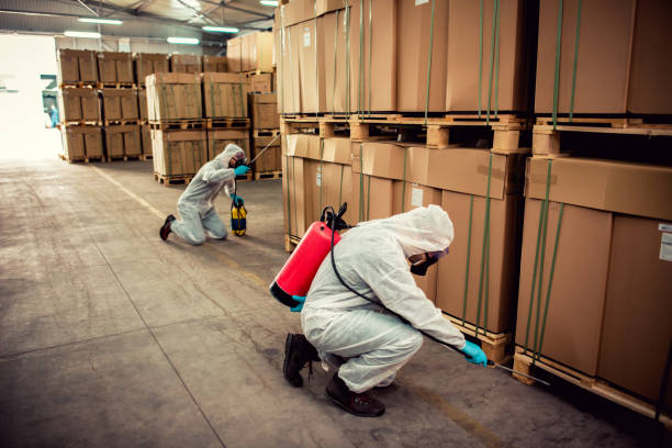 Best Commercial Pest Control Services  in Bethalto, IL