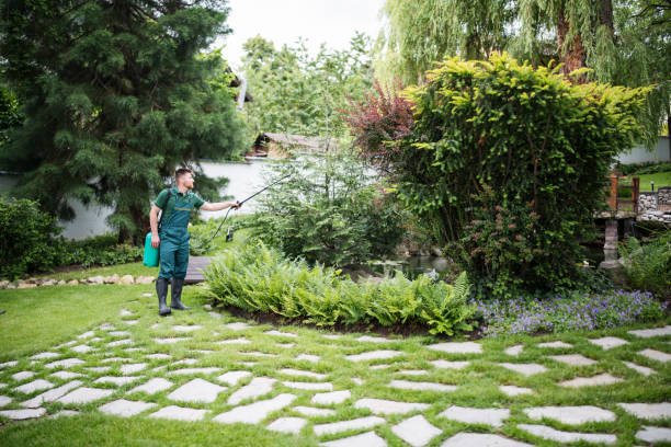 Best Exterminator Services  in Bethalto, IL