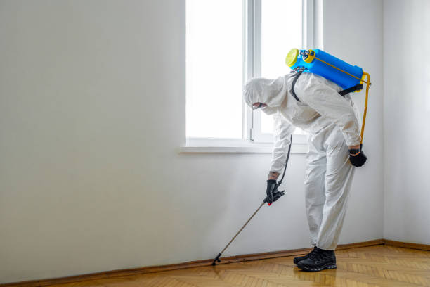 Pest Prevention Services in Bethalto, IL