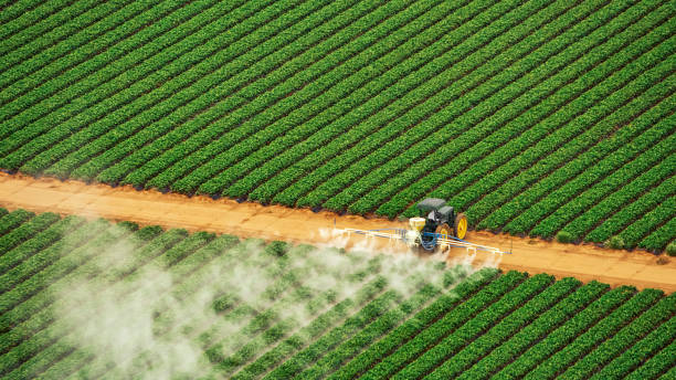 Best Mosquito Control Services  in Bethalto, IL