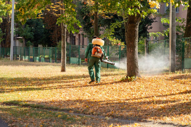 Pest Control for Restaurants in Bethalto, IL