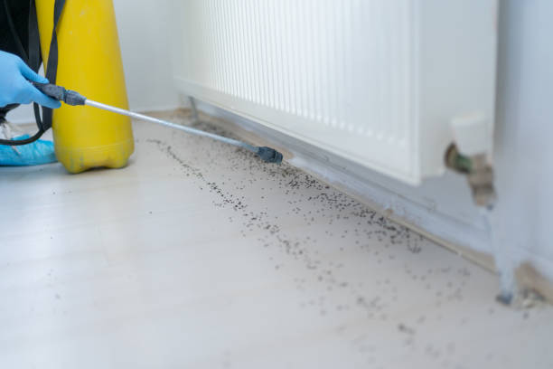 Best Cockroach Control Services  in Bethalto, IL