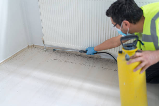 Best Ant Control Services  in Bethalto, IL