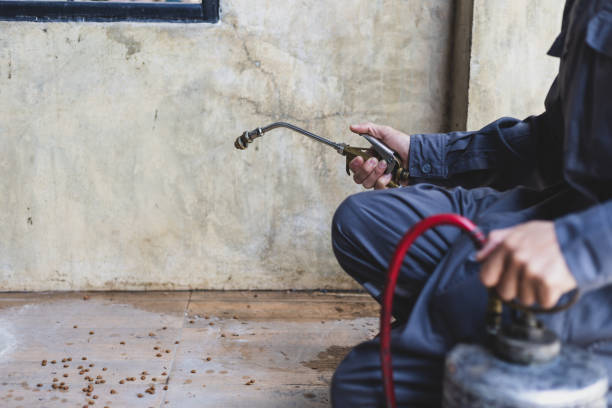 Best Flea Control Services  in Bethalto, IL